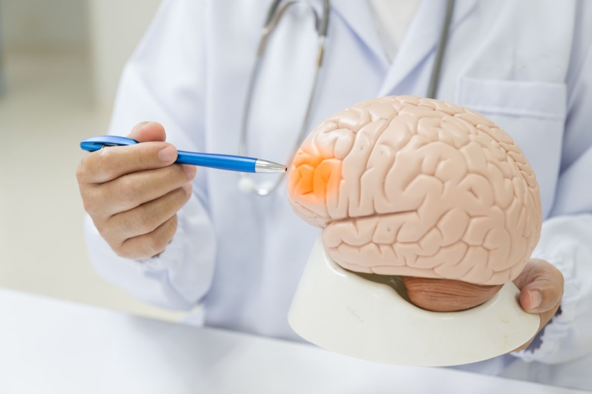 แพทย์จากศูนย์หัวใจและหลอดเลือด กำลังอธิบายเรื่องอาการ Stroke