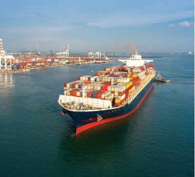 Seafarers'  Health Checkup